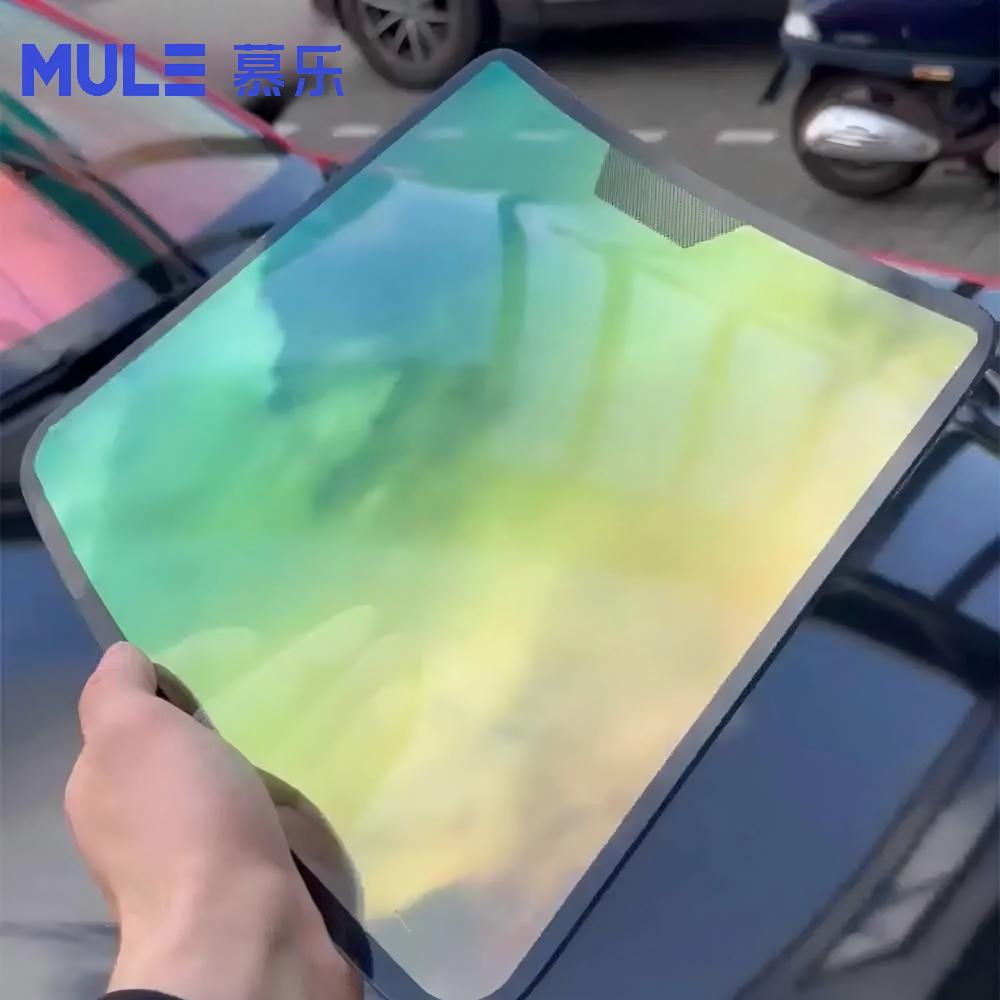 Car Glass Display Model with S - Glass Protector Auto 评论和价格